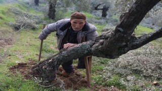 Film sahnesi değil gerçek hayat