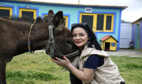 Çamurdan Kurtarıldı, Kuşadası’nda Yeni Bir Hayata Başladı: “Fıstık” Artık Güvende