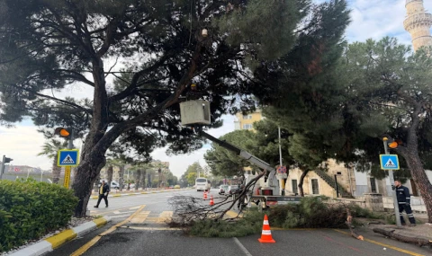 BAŞKAN ÇERÇİOĞLU’NDAN AYDIN’IN YEŞİL DOKUSUNU GELECEĞE TAŞIYAN ÇALIŞMA