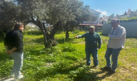 Endemik Tülüşah için inceleme yaptılar