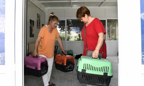 KUŞADASI BELEDİYESİ PATİLİ DOSTLARIN HER ZAMAN YANINDA