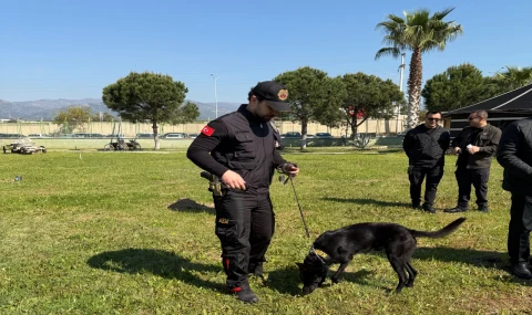 Nazilli’de Polis Haftası Coşkusu: K9 Köpeği Rio’dan Dikkat Çeken Gösteri