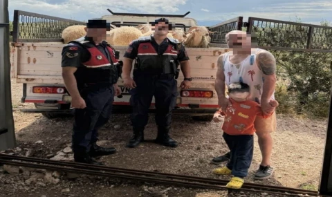 Kurban Bayramı öncesi çalınan koyunları jandarma buldu