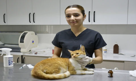 KUŞADASI BELEDİYESİ DAVUTLAR KEDİ KISIRLAŞTIRMA MERKEZİ BİNLERCE CANA UMUT OLDU