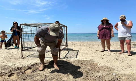 Didim’den sevindiren haber: İlk Caretta Caretta yuvası tespit edildi