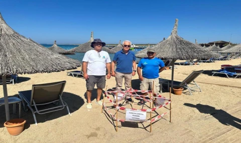 5 yıl sonra aynı plaja dönen caretta Didim'de yeniden yuva yaptı