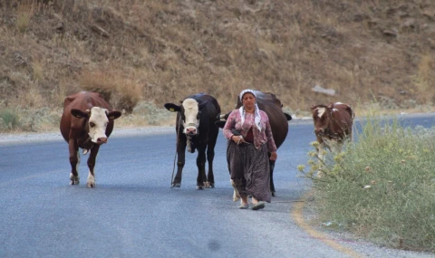 Alevlerden kaçtılar, hayvanlarını ve kendi canlarını zor kurtardılar