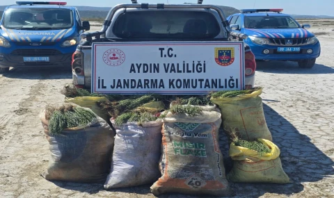 Didim'de İzinsiz Bitki Toplayan 8 Kişiye Jandarmadan Geçit Yok