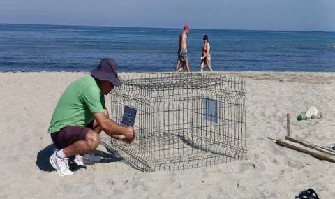 Duyarlı gençlerin ihbarı sayesinde, caretta yuvası koruma altına alındı