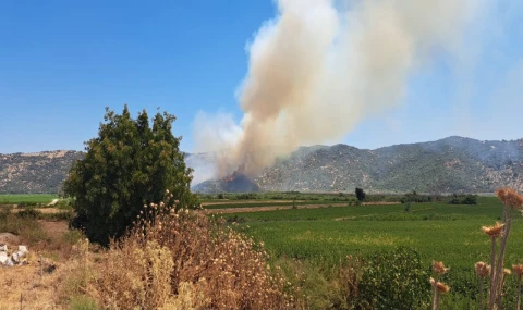 Söke'de zirai alanda yangın