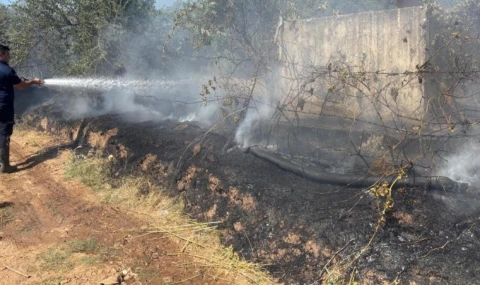 Zeytinlik alanda çıkan yangın, büyümeden söndürüldü