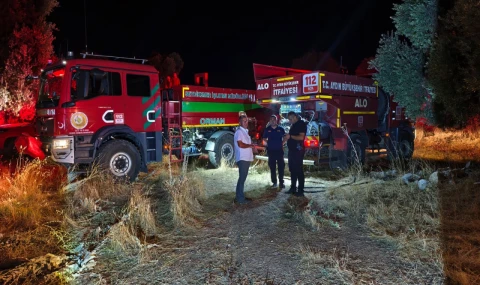 Sultanhisar’da Zeytinlik Alanda Çıkan Yangın Söndürüldü