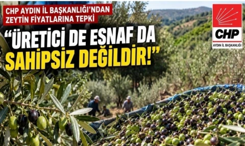 CHP Aydın’dan zeytin fiyatları tepkisi: “Üretici de esnaf da sahipsiz değildir!”