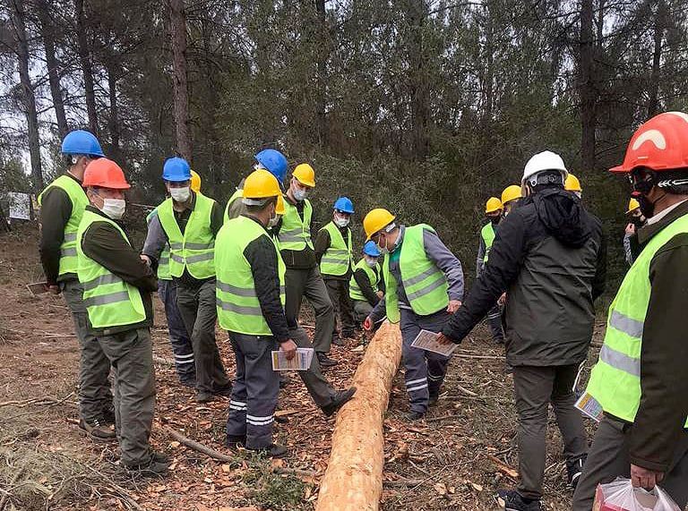 Aydın’da Planlama-Ağaçlandırma ve Üretim Tatbikatı gerçekleştirildi