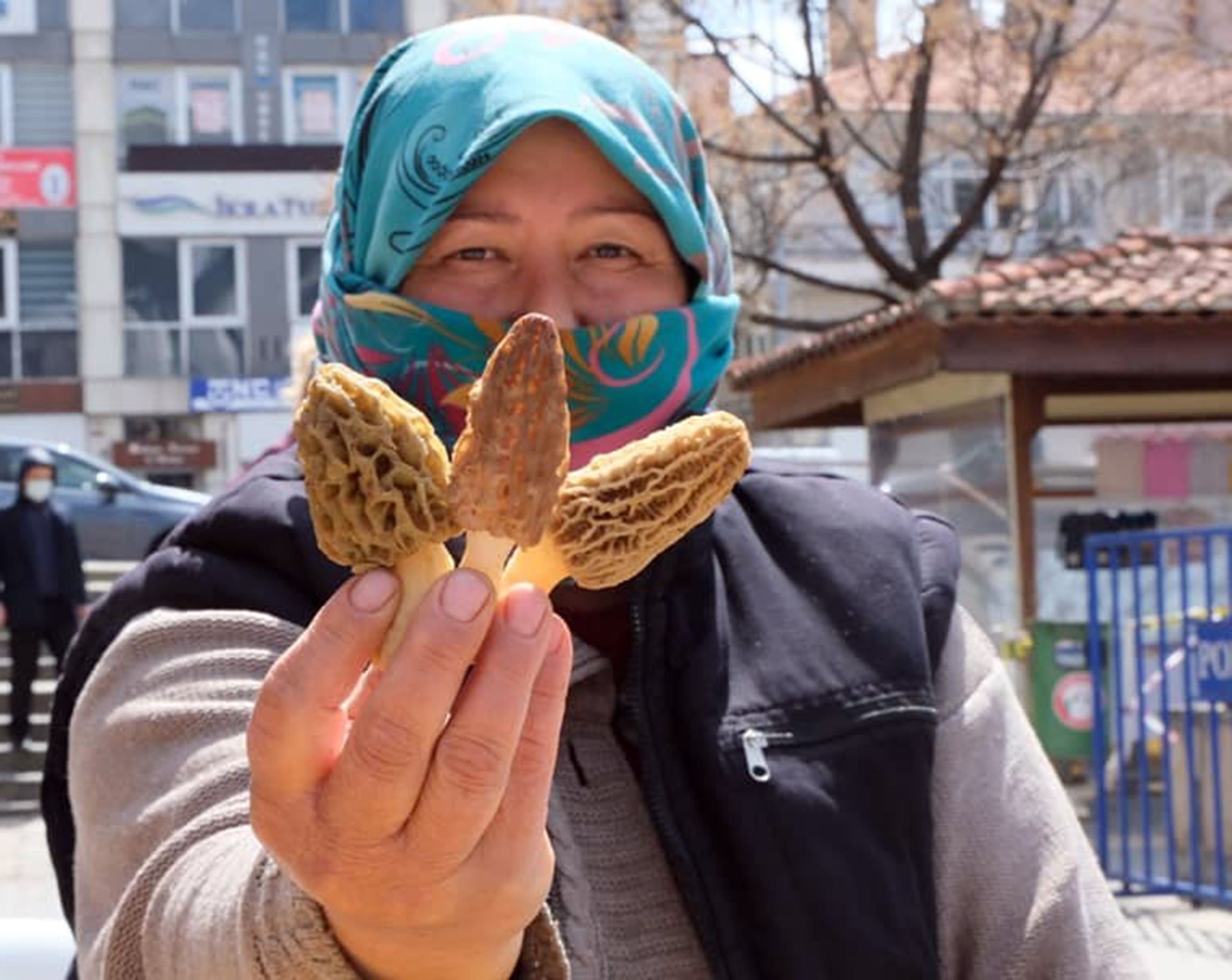 Kuzugöbeği altınla yarışıyor