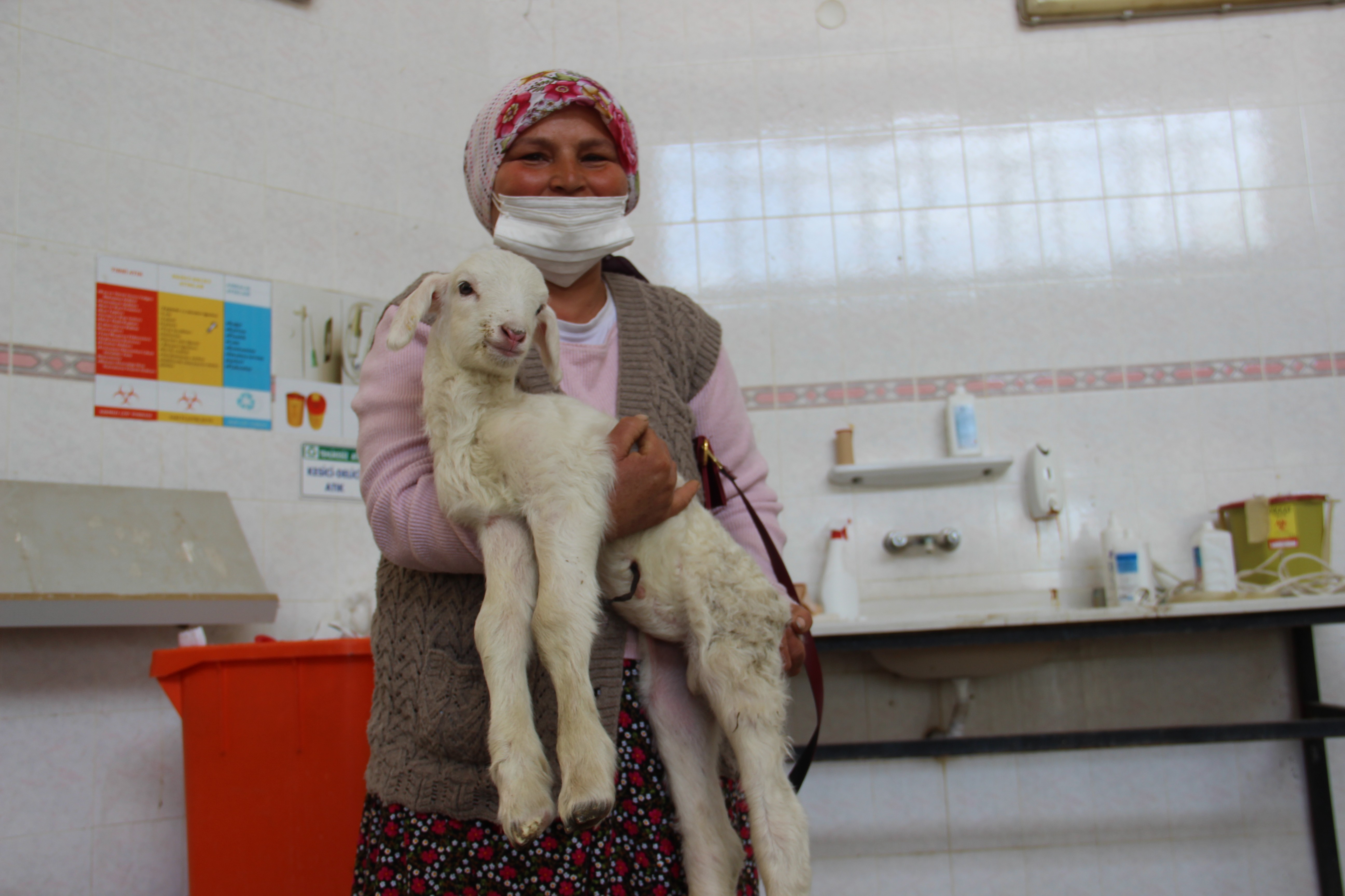  Doğum sırasında sakatlanan kuzuyu pazar çantası ile veterinere getirdi