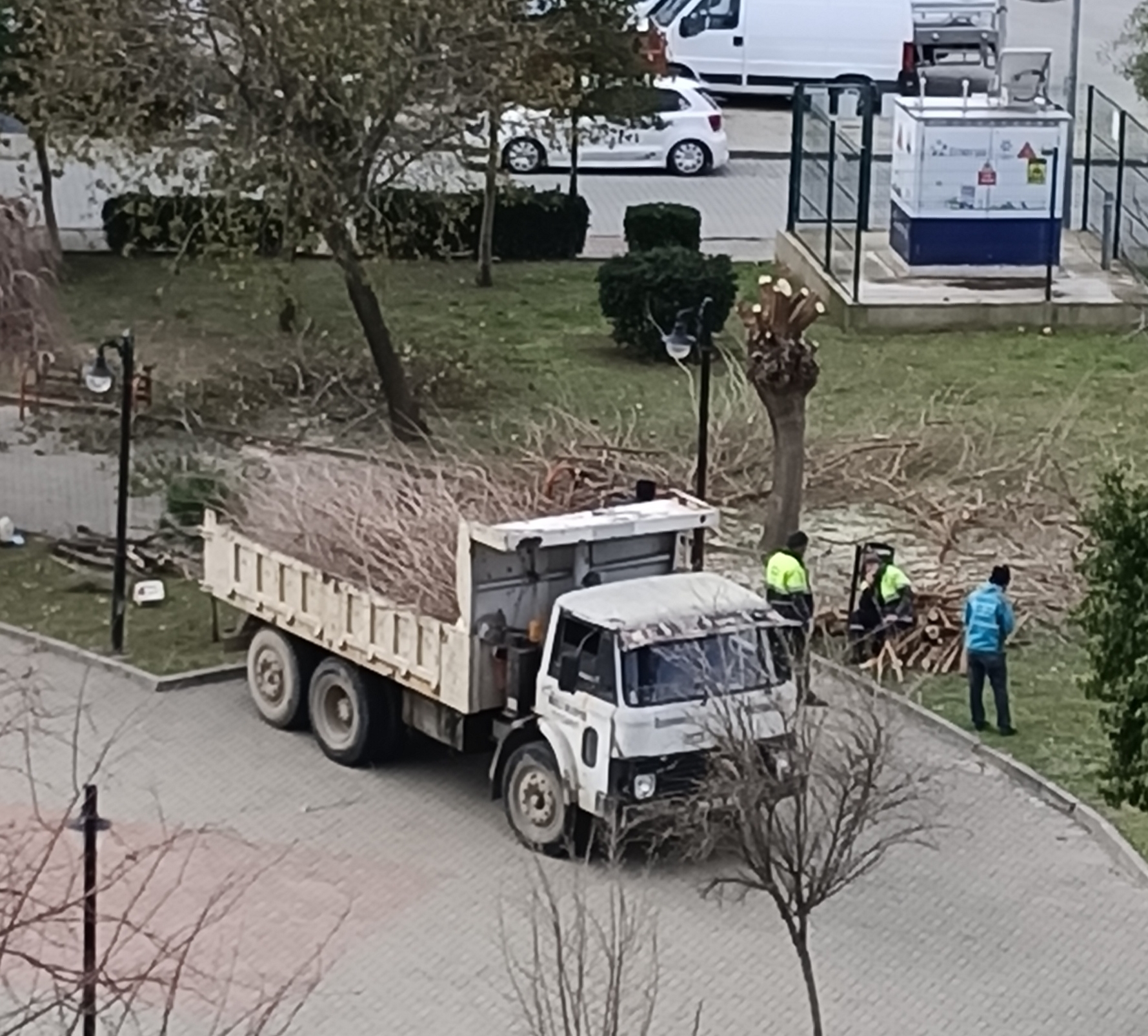 Nazilli Belediyesi Park ve Bahçeler Müdürlüğü ilçe genelinde parklarda ağaç budama çalışmalarını sürdürüyor.